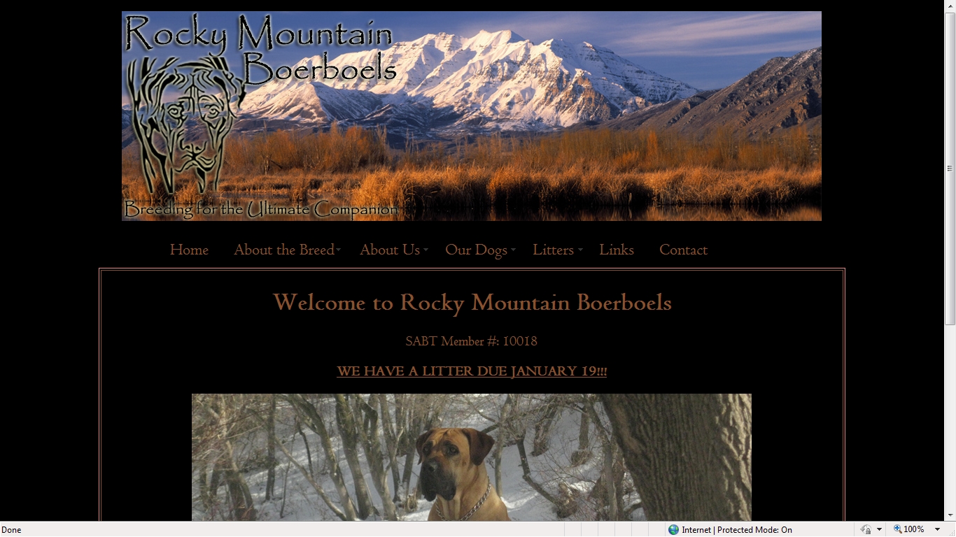 Rocky Mtn Boerboels